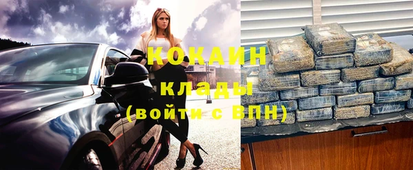 прущие грибы Богородицк