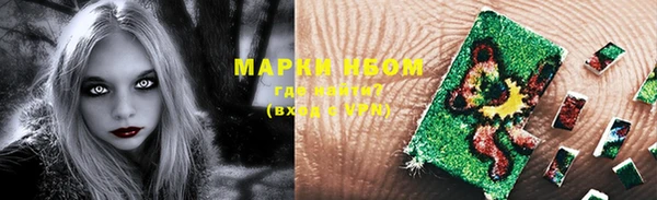 прущие грибы Богородицк