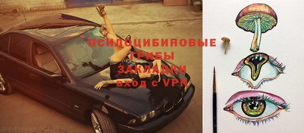 стаф Бронницы
