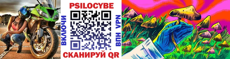 закладка  Таганрог  Псилоцибиновые грибы Cubensis 